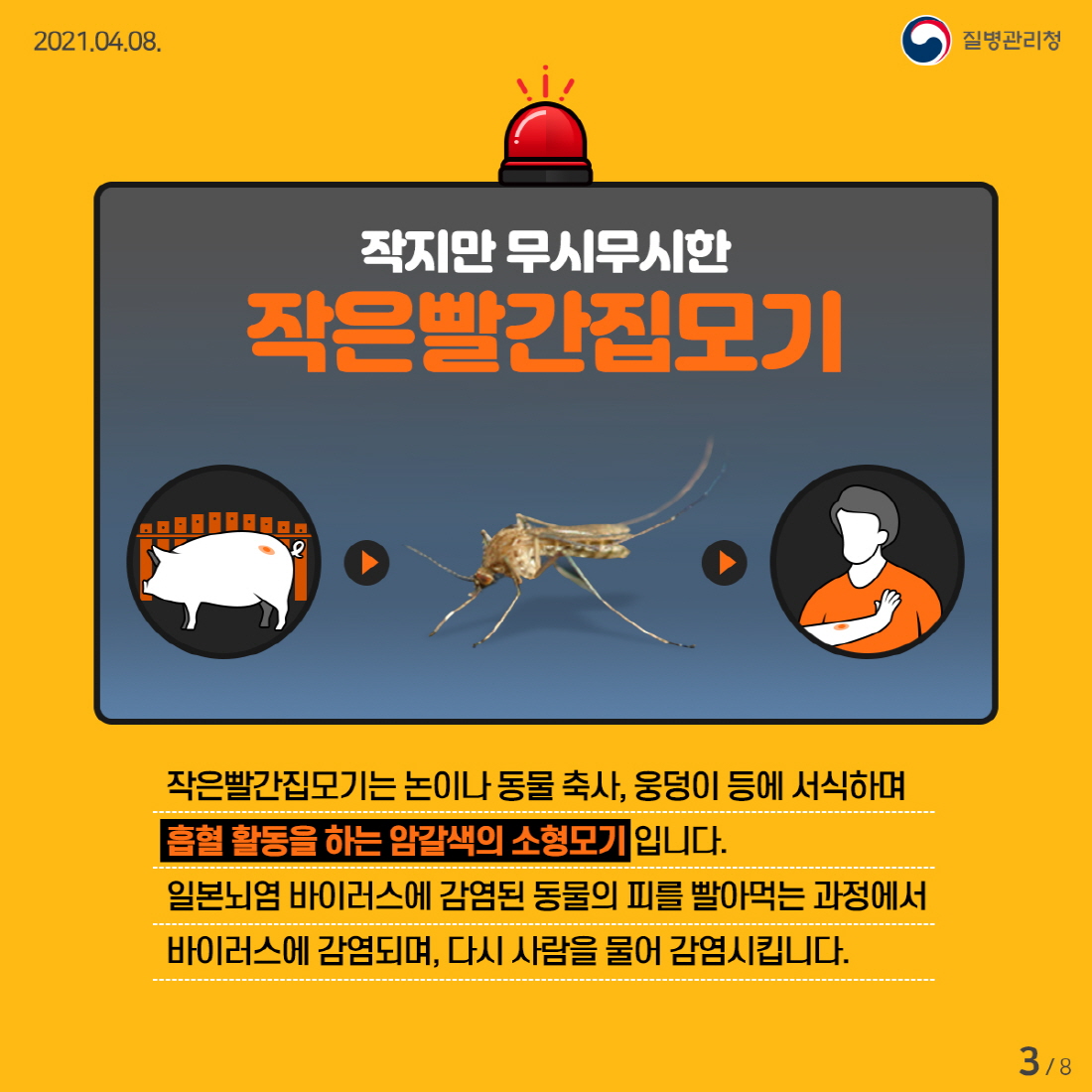 ★이달의건강소식_일본뇌염 카드뉴스 (3)