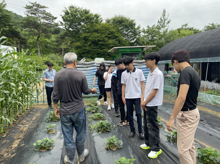 25.06.26 Green Growth Campaign II (Middle School)