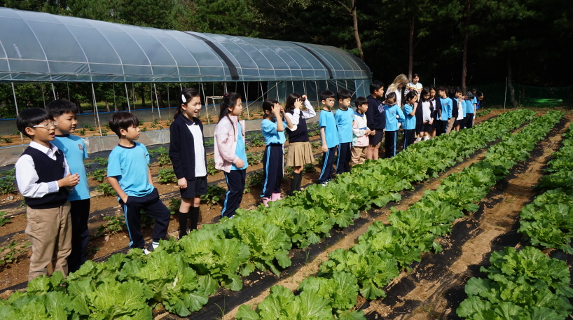 25.09.22 GGS Green Growth Campaign(G3-G4)
