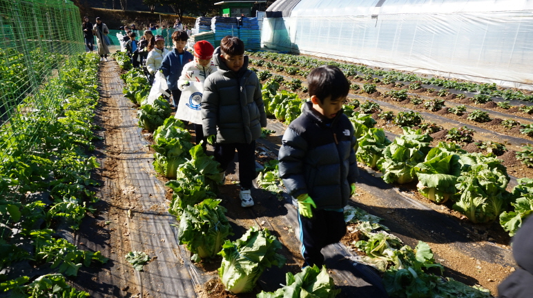 25.11.03 GS Green Growth Campaign II (G1,G2,G5)